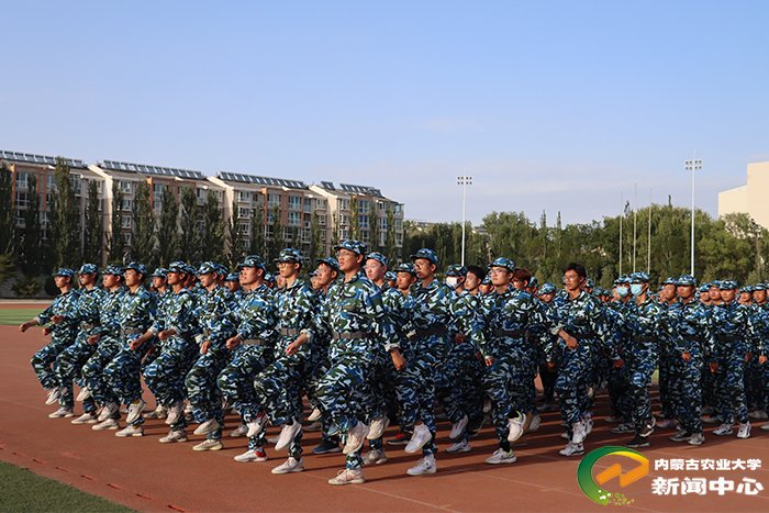 这是大学时光的开篇