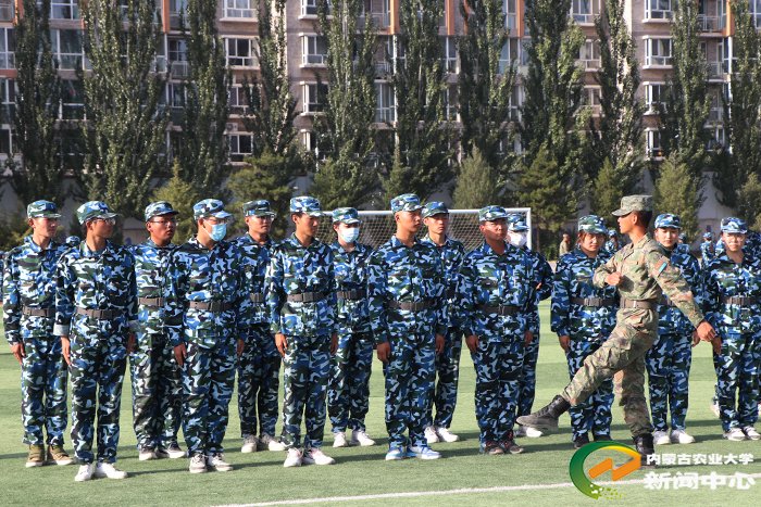 这是大学时光的开篇