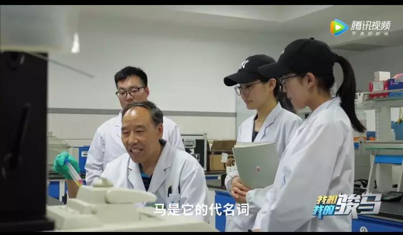 锡林郭勒盟是内蒙古草原的一个核心区