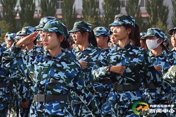 更是大学生涯中的第一门必修课