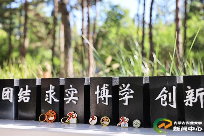 百乐棋牌游戏官方版新人权益