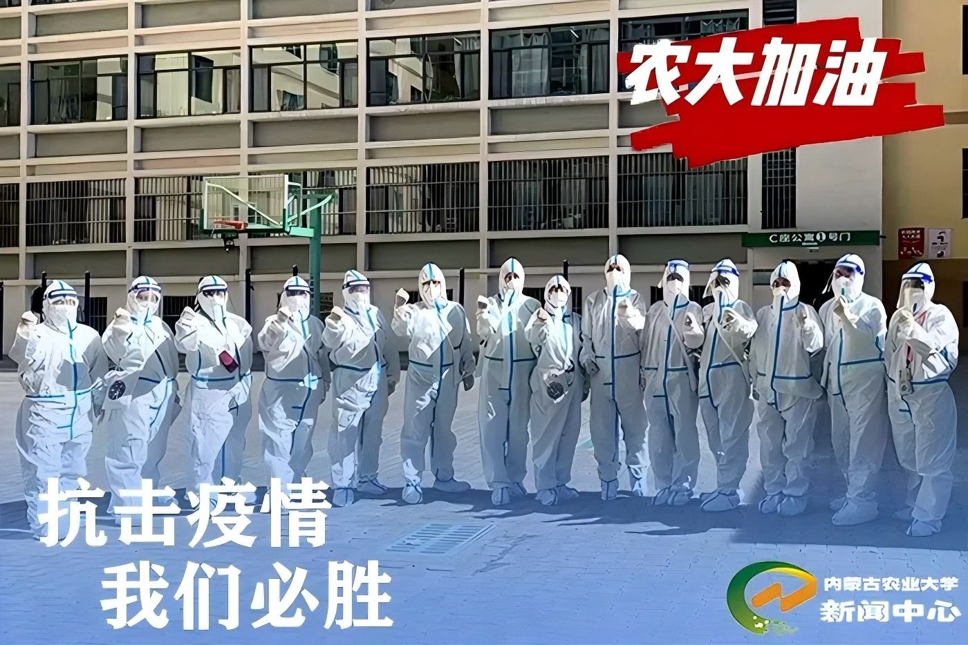 imaunews@126.com