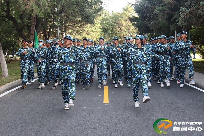 更是大学生涯中的第一门必修课