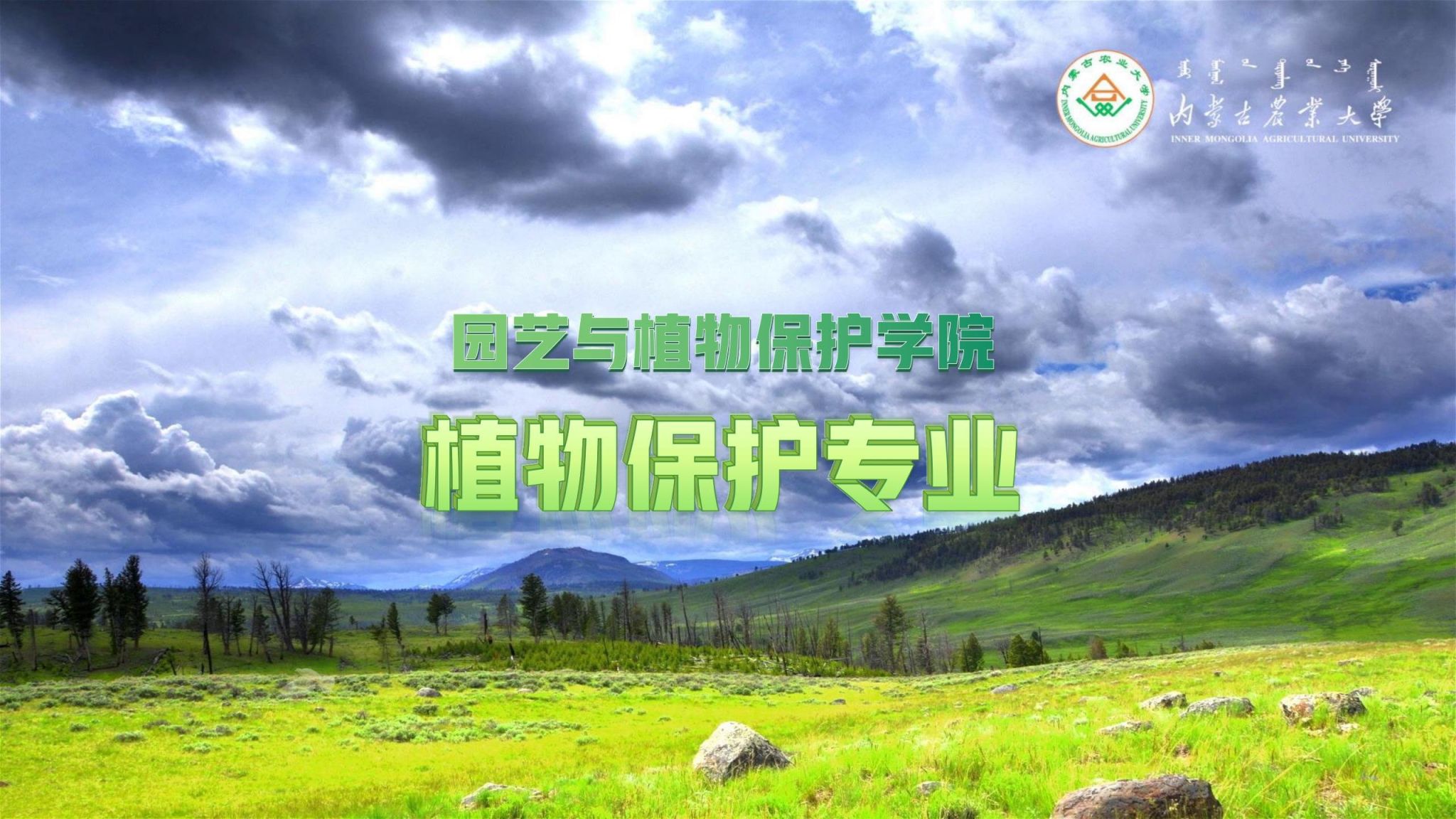 百乐棋牌官网