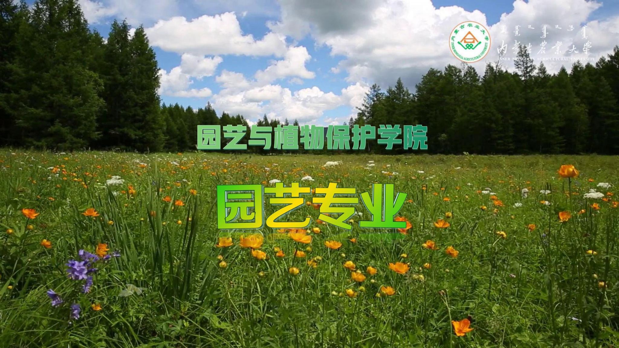 百乐棋牌官网