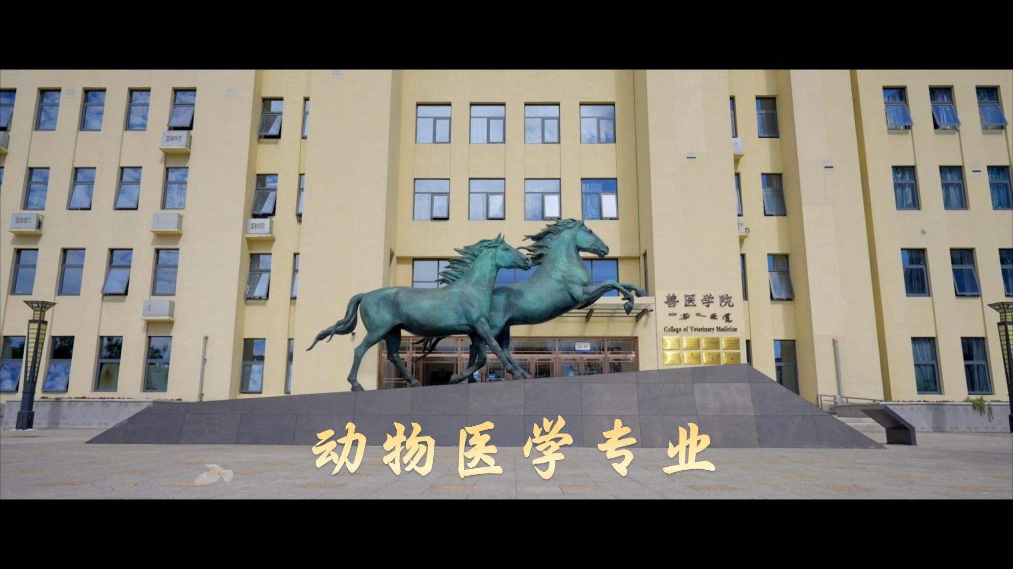 百乐棋牌官网使用方法本科招生网 蒙I