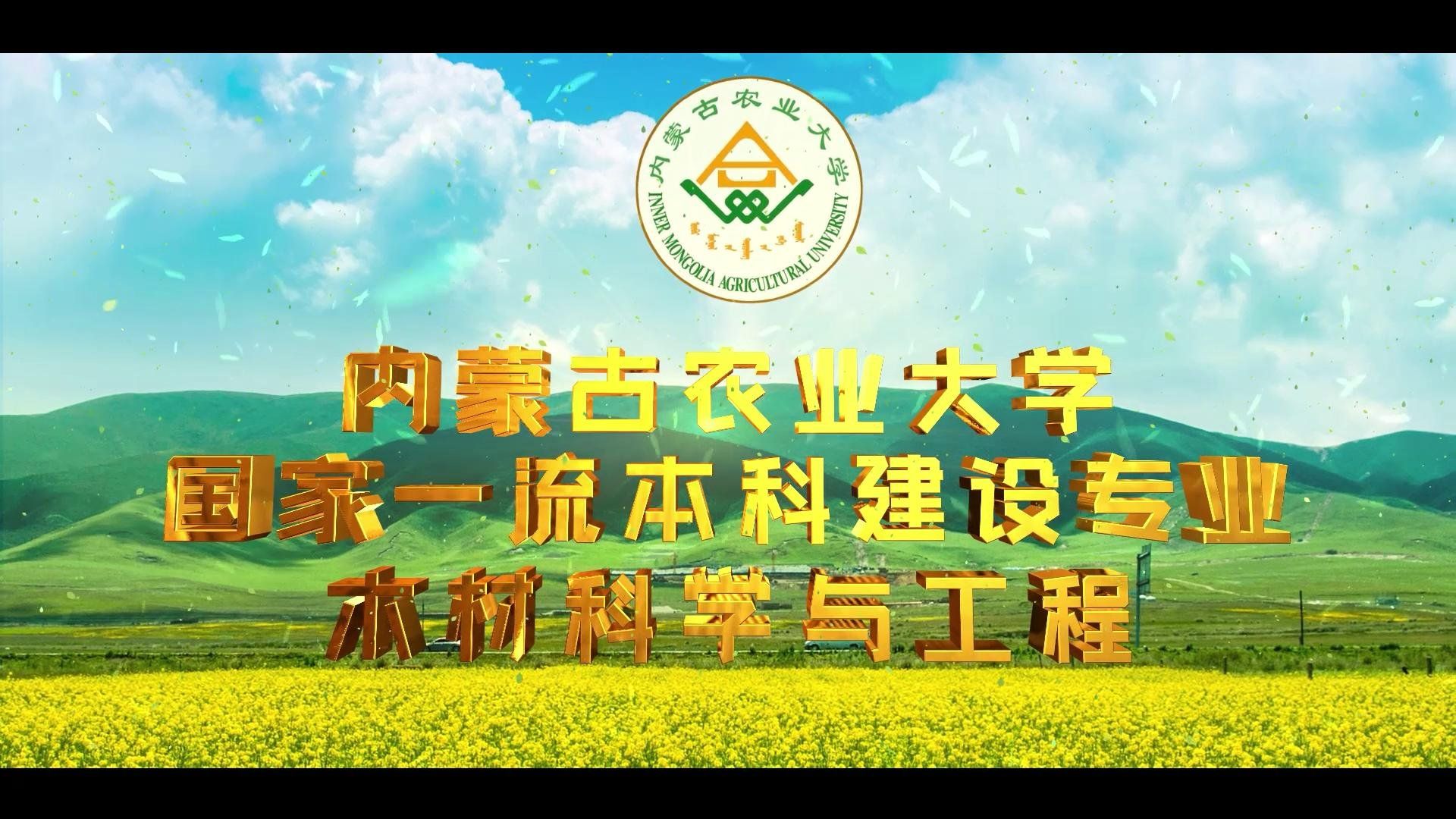 版权所有