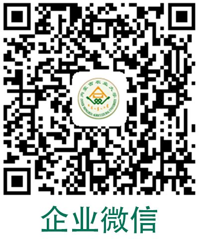 发表二〇二六年新年贺词