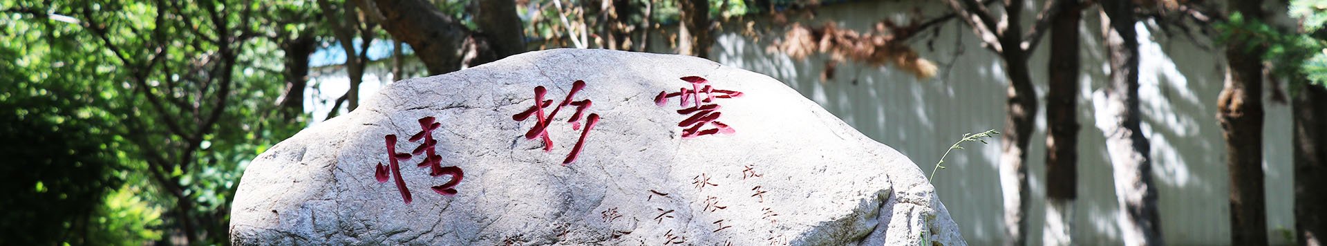 芒来说我是牧民的儿子